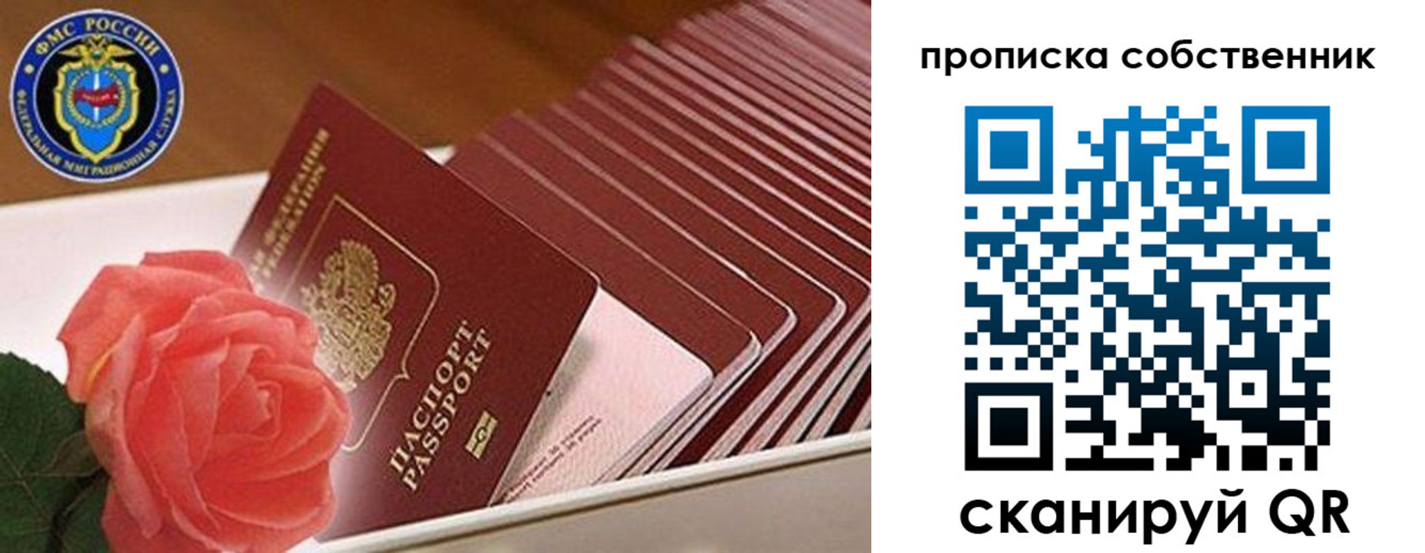 прописка поиск в Губкинском